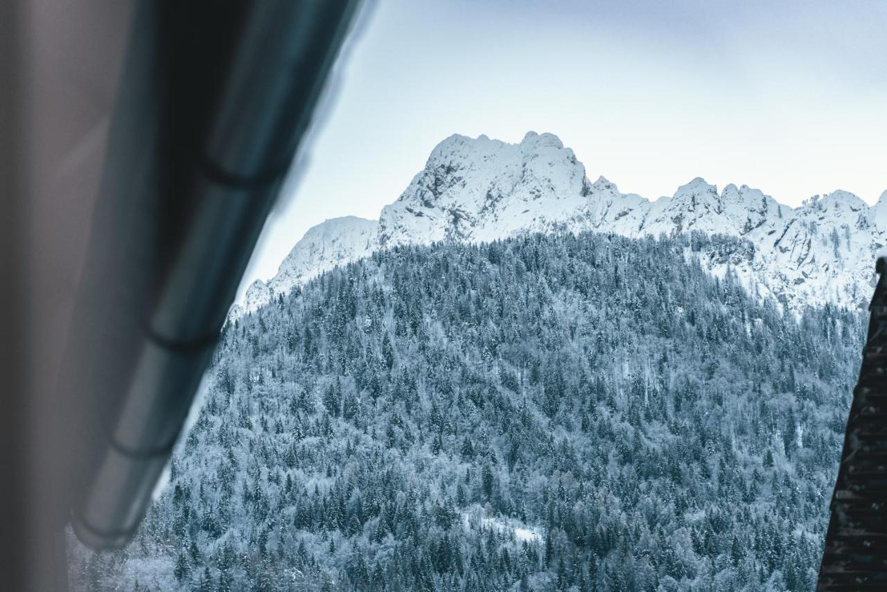 Podlipnik Apartments Kranjska Gora Eksteriør billede