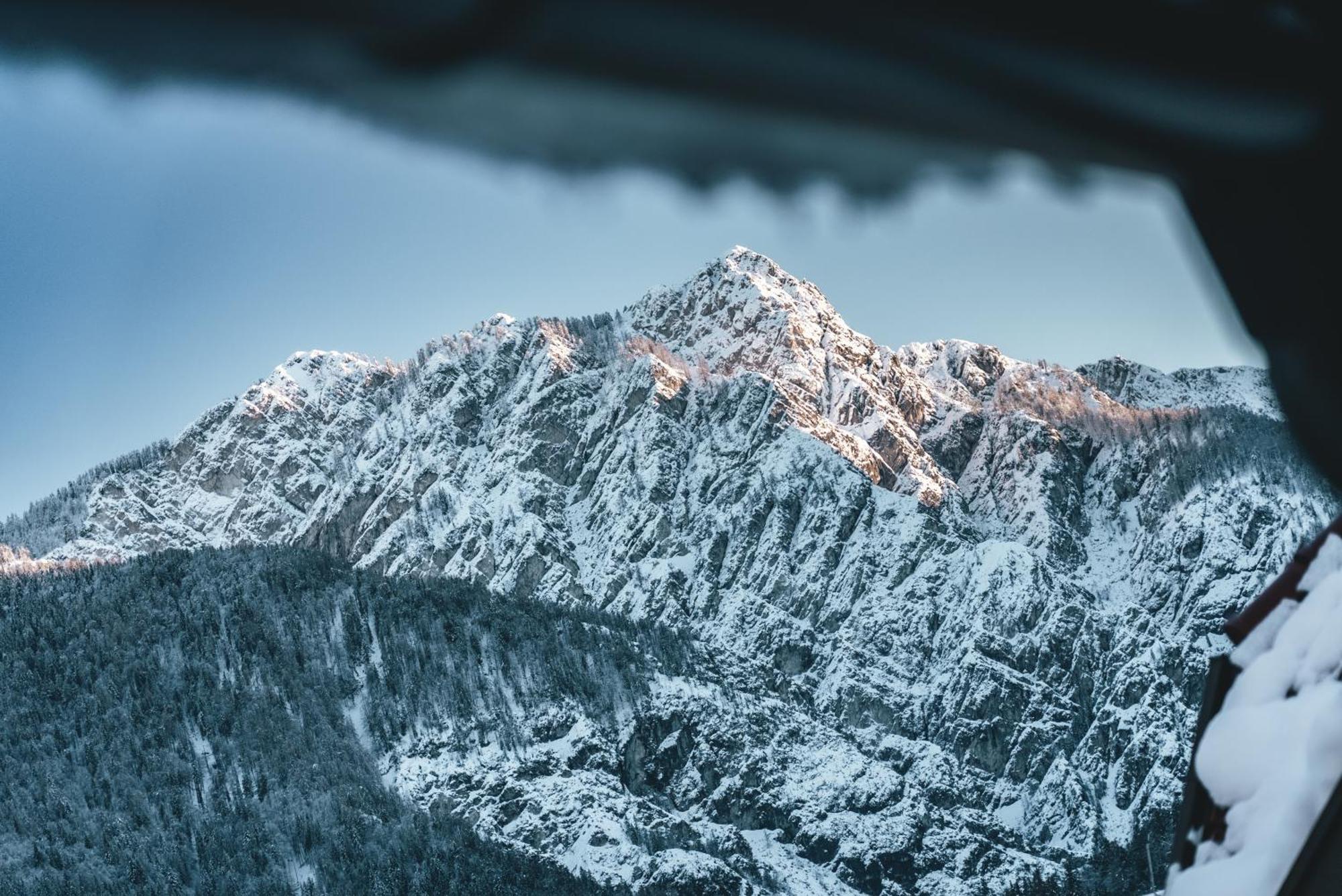 Podlipnik Apartments Kranjska Gora Værelse billede